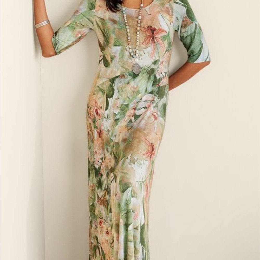 NWT Soft Surroundings Vivienne Dress Green and Pink A-line Maxi Dress - Picture 2 of 10